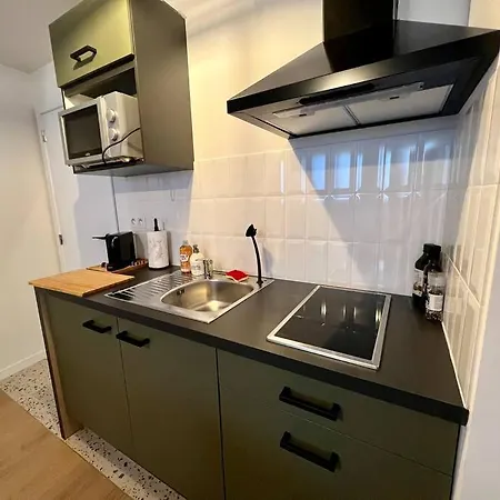 Apartment La Mezzanine Sur Les Toits - Opera/st-lambert *